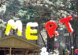 Parti Malzemesi